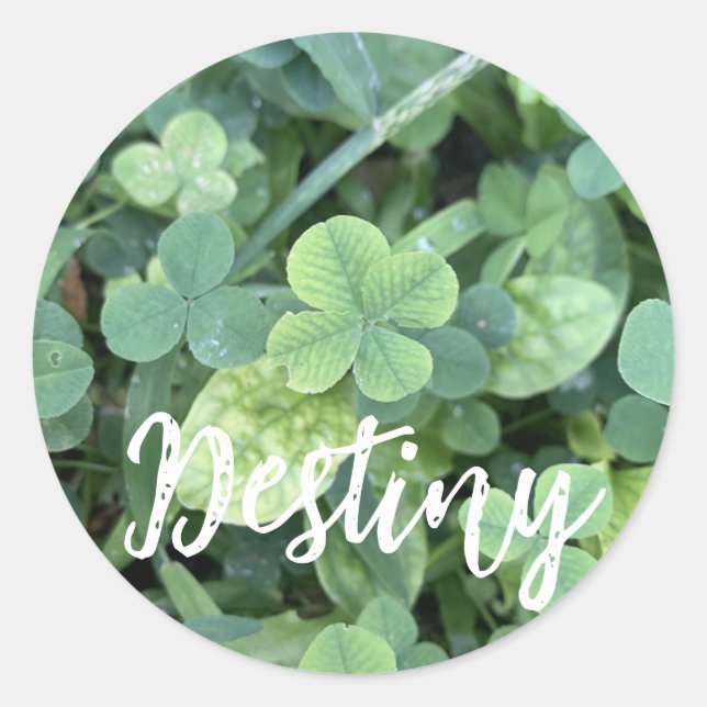 Adesivo Sticker Destiny  (Frente)