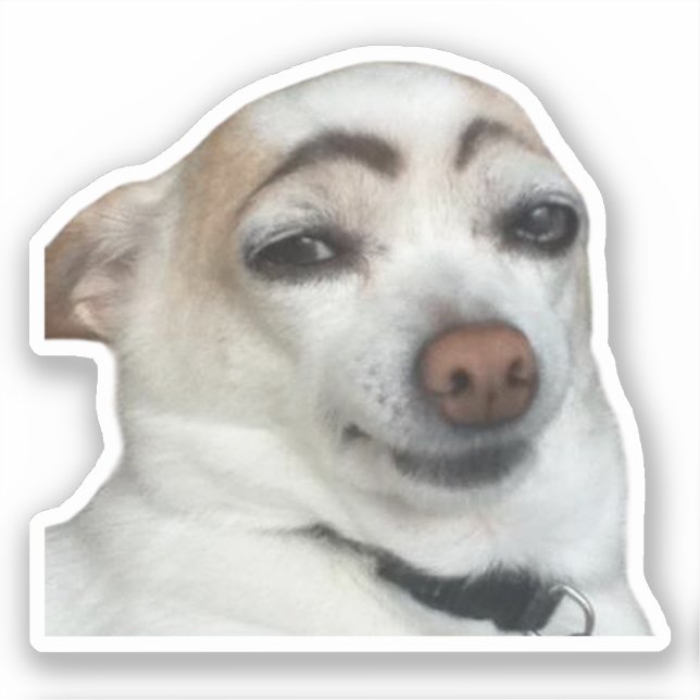 Adesivo Sticker Eyebrow Dog Memória (Frente)