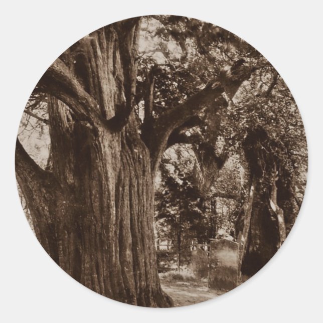 Adesivo Sticker Genealogia Churchyard Velha Árvore (Frente)