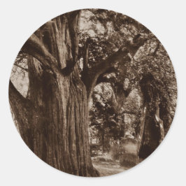 Adesivo Sticker Genealogia Churchyard Velha Árvore