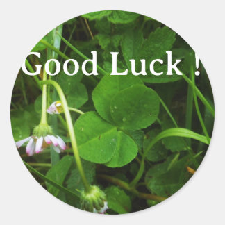 Adesivo Sticker Good Luck !