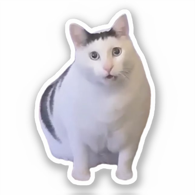 Adesivo Sticker Huh Cat Meme (Frente)