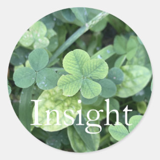 Adesivo Sticker 'Insight