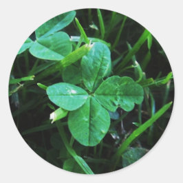 Adesivo Sticker Porte-bonheur