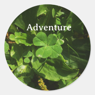 Adesivo Sticker Porte-bonheur