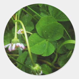 Adesivo Sticker Porte-bonheur - Lucky Charm