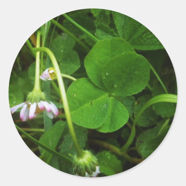 Adesivo Sticker Porte-bonheur - Lucky Charm (Frente)