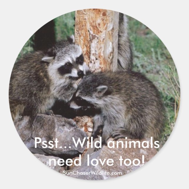 Adesivo Sticker, Psst... animais selvagens precisam de amo (Frente)