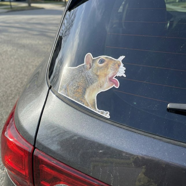 Adesivo Sticker Quadrado (Funny Licking Squirrel "Window Licker" Vinyl Sticker)