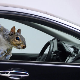 Adesivo Sticker Quadrado