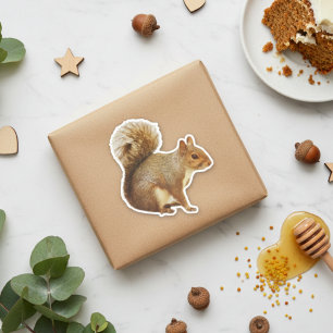 Adesivo Sticker Quadrado