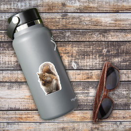 Adesivo Sticker Quadrado