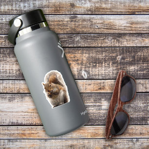 Adesivo Sticker Quadrado