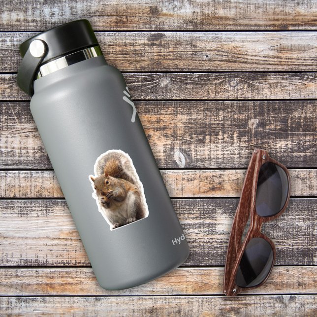 Adesivo Sticker Quadrado (Birthday Depot
Squirrel Sticker)