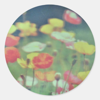 ADESIVO STICKER ROLL