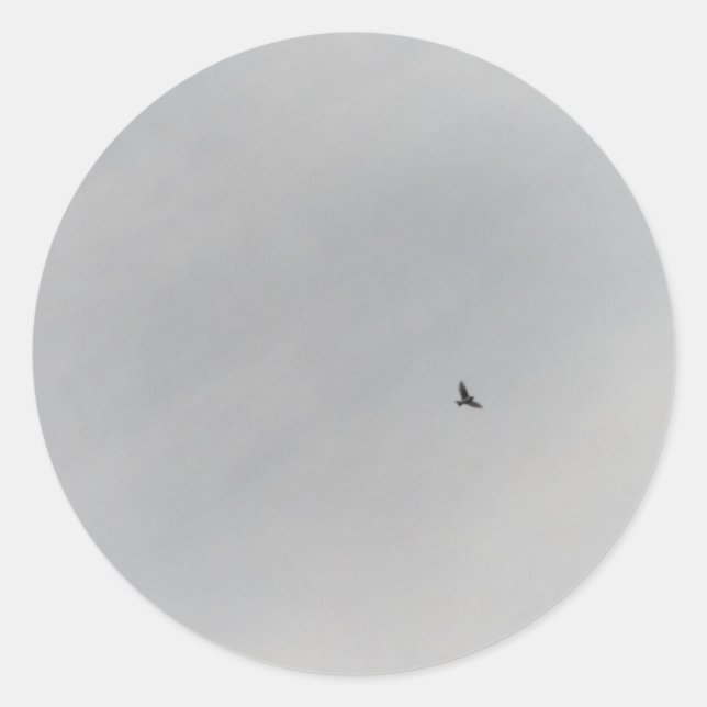 ADESIVO STICKER ROLL  (Frente)