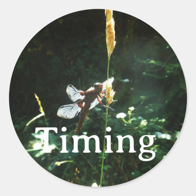 Adesivo Sticker Timing (Frente)