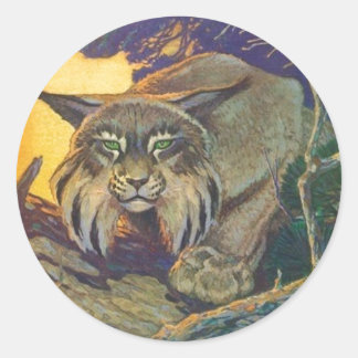 Adesivo Sticker Willife Bobcat Tunt Sunight