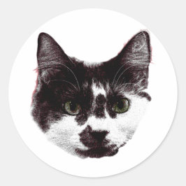 Adesivo Sticker with a Stare | Ink Style Cat Sticker