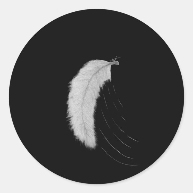 Adesivo Sticker with feather (Frente)