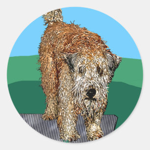 Adesivo Stickers: "Campo Infeliz"