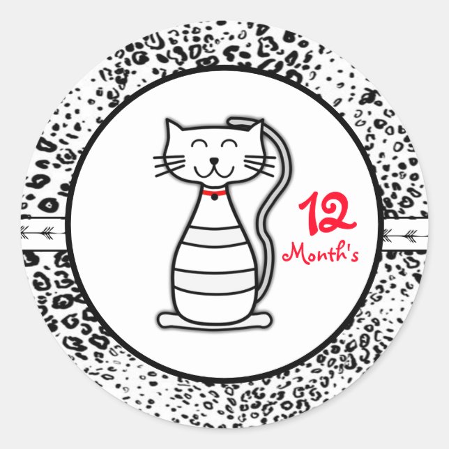 Adesivo Stickers do mês de bebê (Frente)