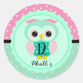 Adesivo Stickers do mês de bebê