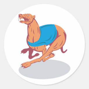 Adesivo Stickers Greyhound Racing