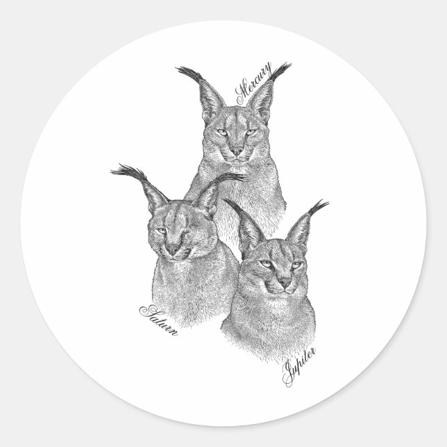 Adesivo Stickers - Os Planetas (Frente)