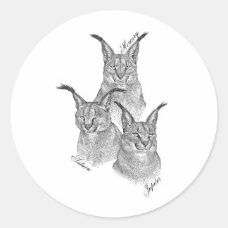 Adesivo Stickers - Os Planetas