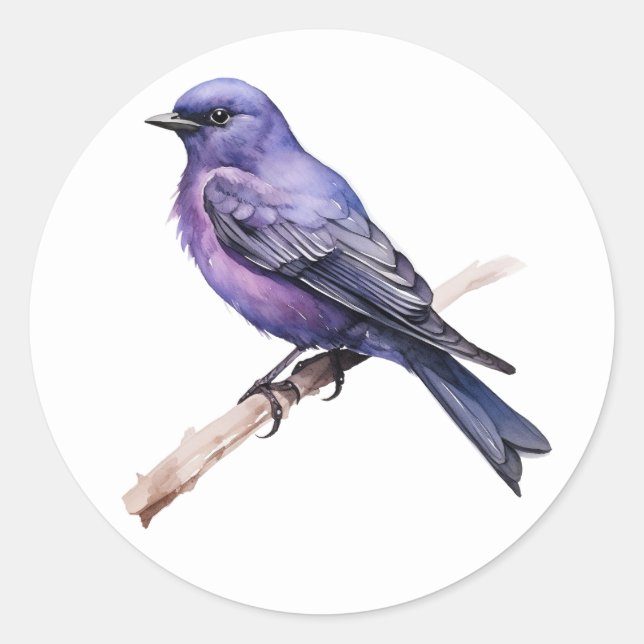 Adesivo Stickers Purple Martin Songbird (Frente)