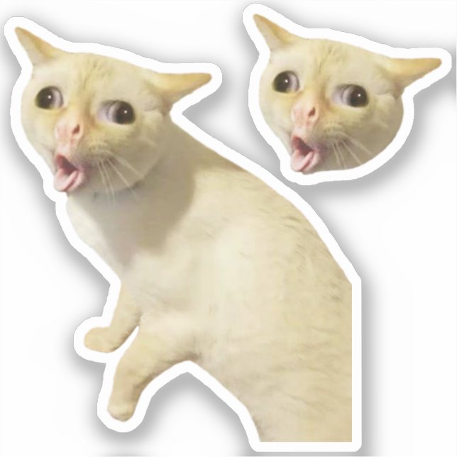 Adesivo Stickers Tosse Meme Cat (Frente)