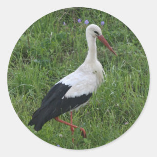 Adesivo Stork 1