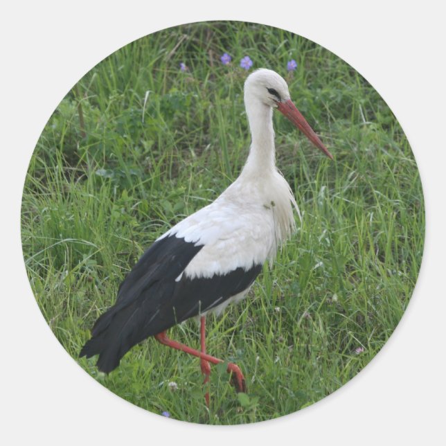 Adesivo Stork 1 (Frente)