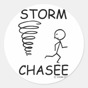 Adesivo Storm Chasee