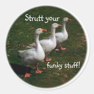 Adesivo Strutt seu material funky!