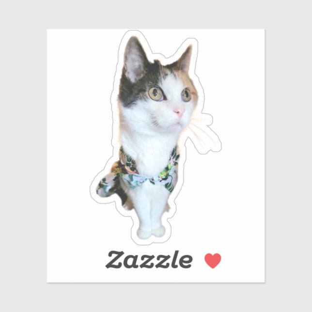 Adesivo Stylish Cat Funny Sticker (Folha)