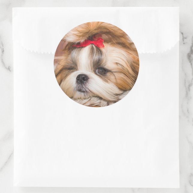 Adesivo Sua foto personalizada do cachorro de estimação (Bolsa)