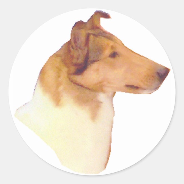 Adesivo Suave Presentes de Collie (Frente)