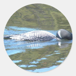 Adesivo Sub-Superfície Sleuth