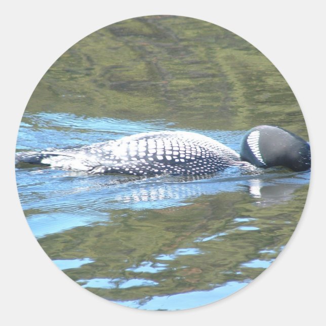 Adesivo Sub-Superfície Sleuth (Frente)