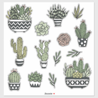 ADESIVO SUCCULENTES