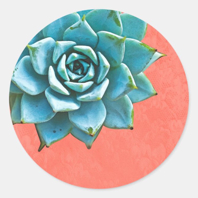 Adesivo Succult Watercolor Laranja Lace (Frente)