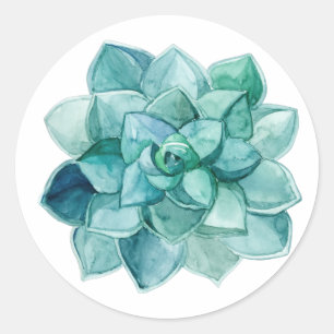 Adesivo Suculente em aquarela