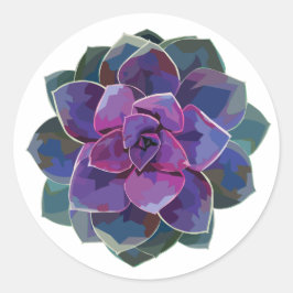 Adesivo Suculente Sticker