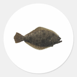 Adesivo Summer Flounder