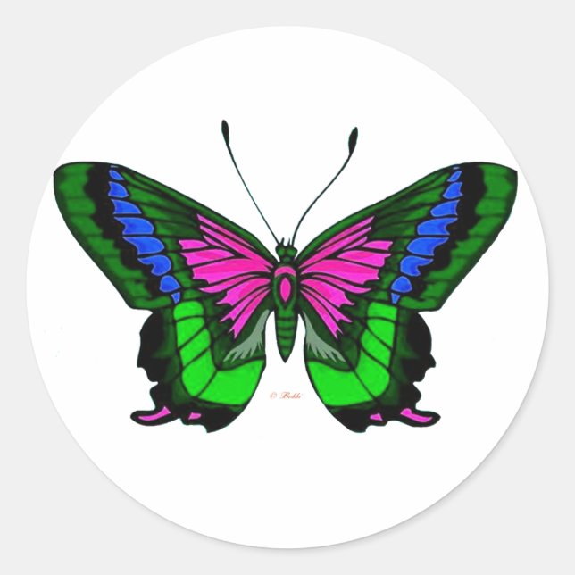 Adesivo Sumos Brilhantes Cores 5 (Frente)