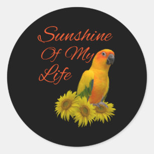 Adesivo Sun Conure Parrot Sunshine