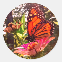 Adesivo Sun Shining Thru Wings de Monarca