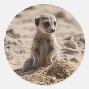 Adesivo "Sunny Days: Baby Meerkat's Beach Adventure"
